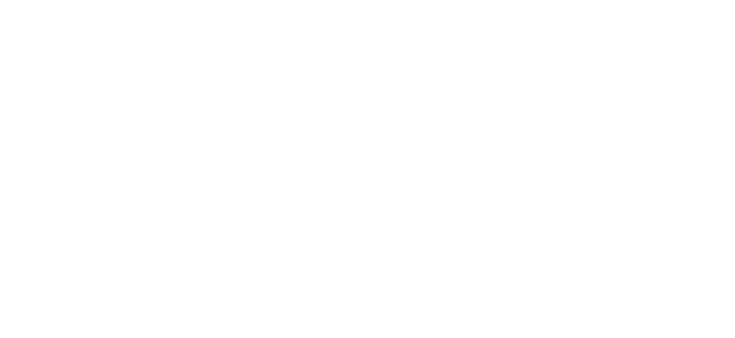 WKK white svg logo